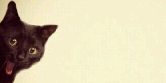 Nosde1986's profile banner image