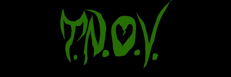 TNOVTuber's profile banner image