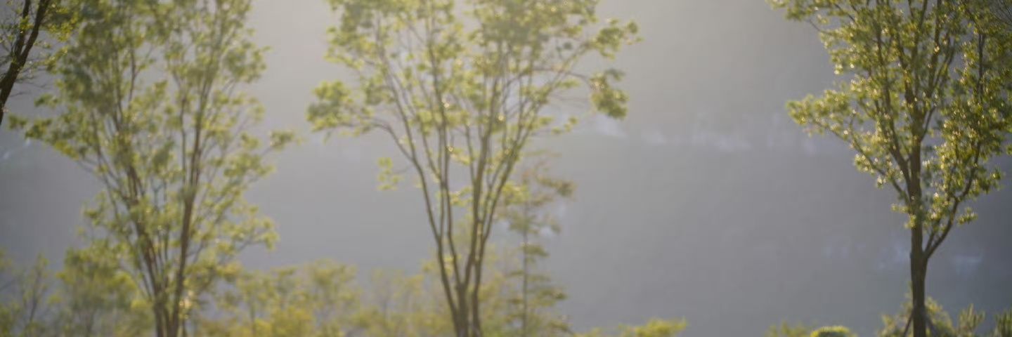 iuhaocun's profile banner image