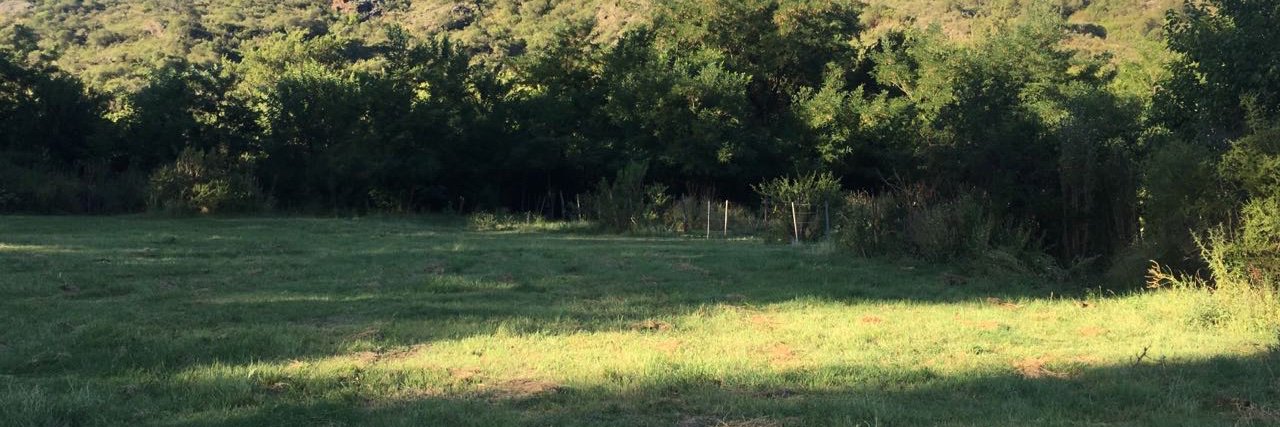 SofiLedezma's profile banner image