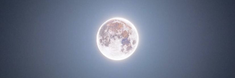 Whitneeeyy_'s profile banner image