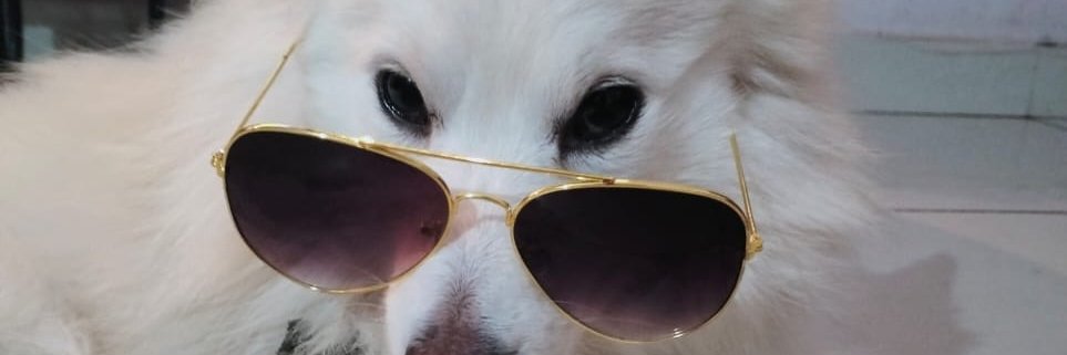 vikuu213's profile banner image