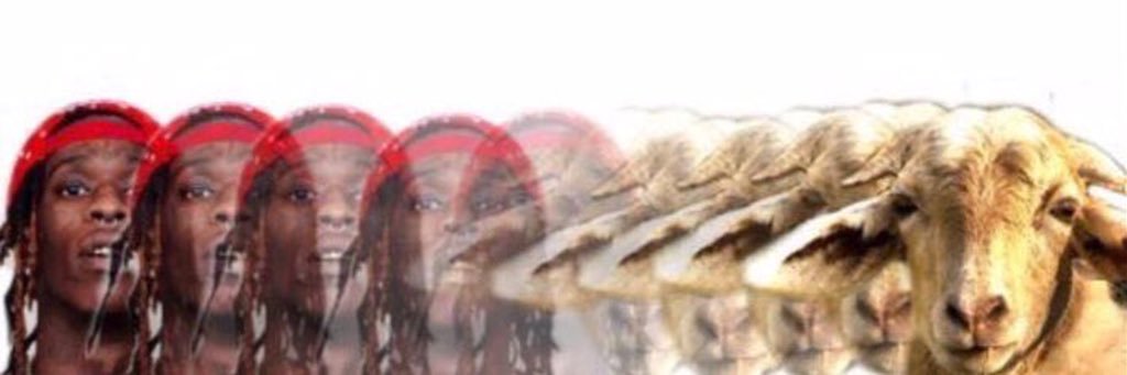 RezaFranco's profile banner image