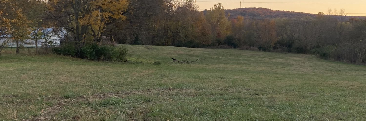 Michael Rutledge banner