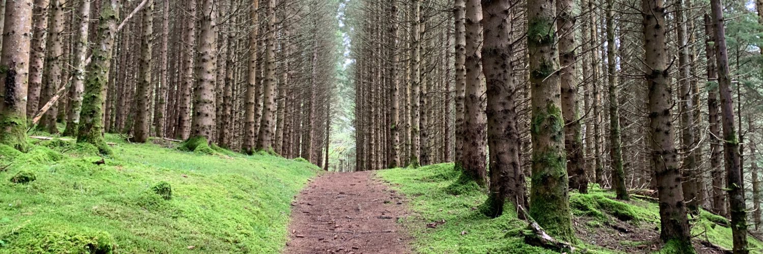 Eduardo Ustaran banner