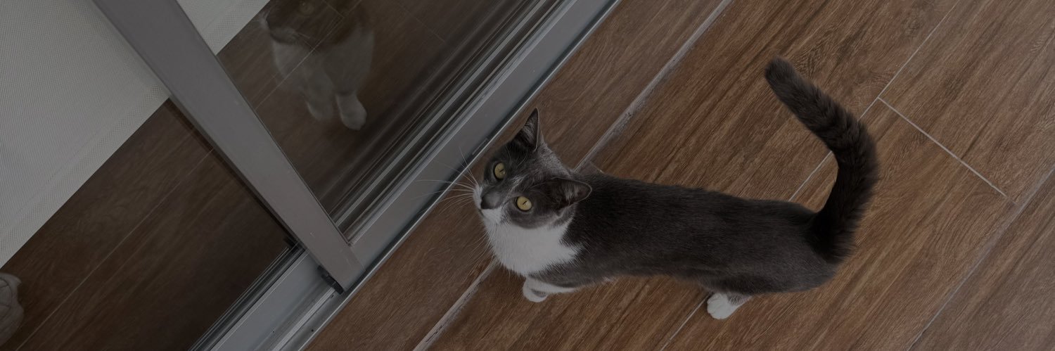 mariasolrp's profile banner image