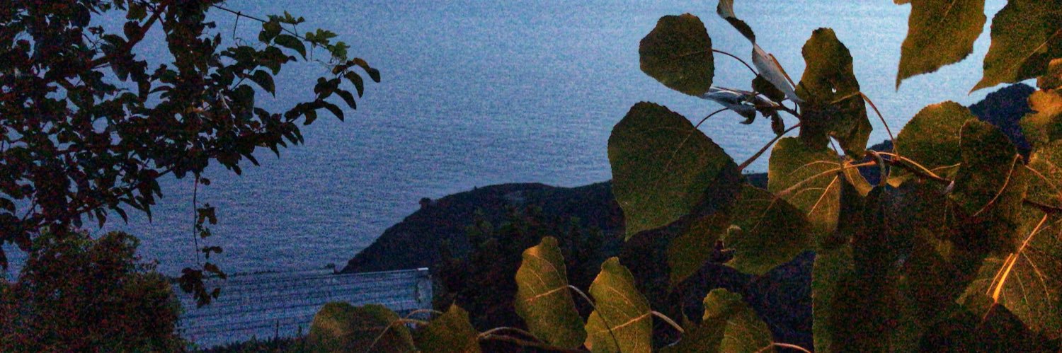 hasnalicalk's profile banner image