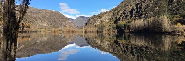 Daniel Domenjó banner