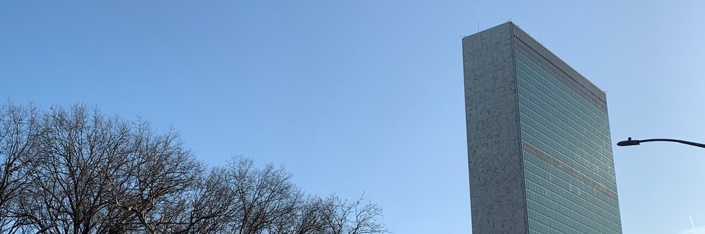 International Presentation Association at the UN banner