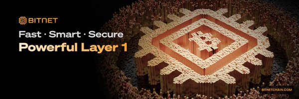 BitNetChain Profile Banner