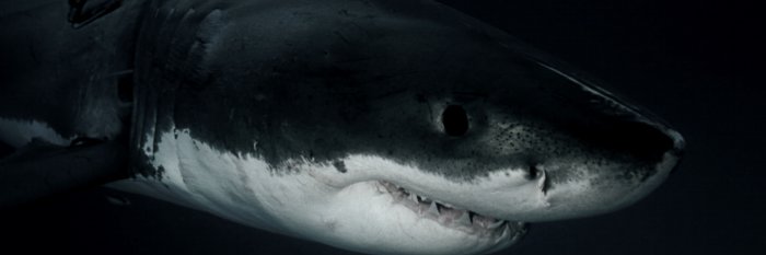 kalinmoon's profile banner image