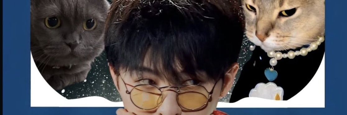 にーむわい banner