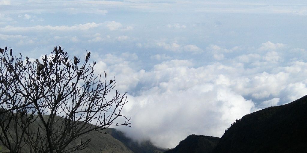 ahasnas's profile banner image