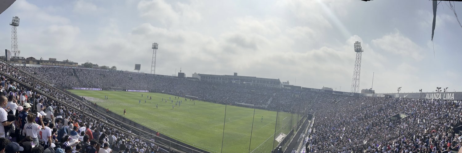 Dani Barco banner