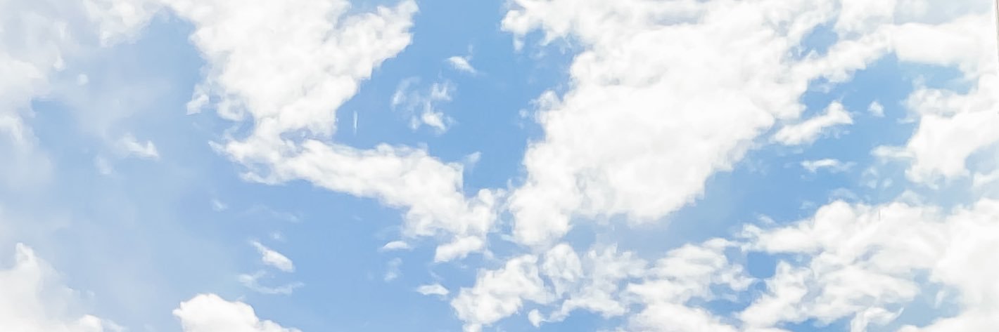 ellembeee's profile banner image