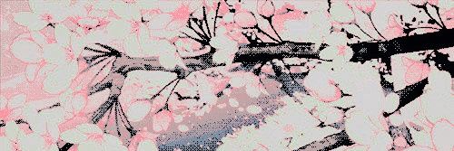 ‎ ‎ ‎ ‎ 𝓒𑁤𝑳𝑬𝑻𝑻𝑬 𝓐𝐃𝐋𝐄𝐑‎ ‎ ‎ .ᐟ banner