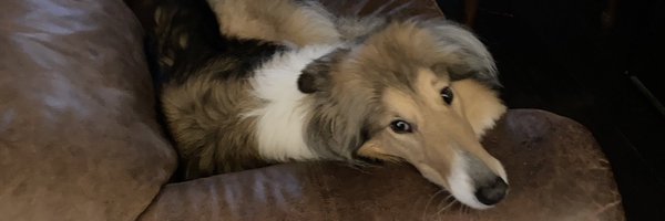 SpiritxTower Profile Banner