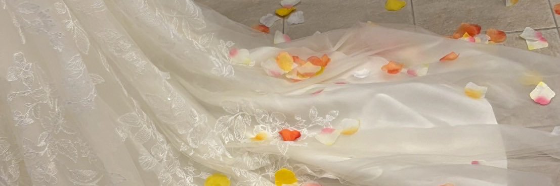 ましゅまろ🌼👼ColorSing banner