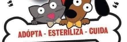 Lizeth654's profile banner image