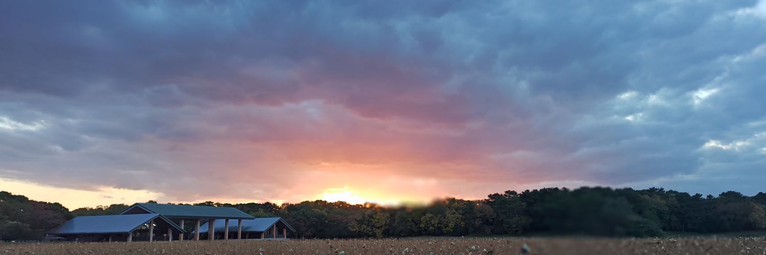 アイリス🐶ボーダー・コリー🐾 banner