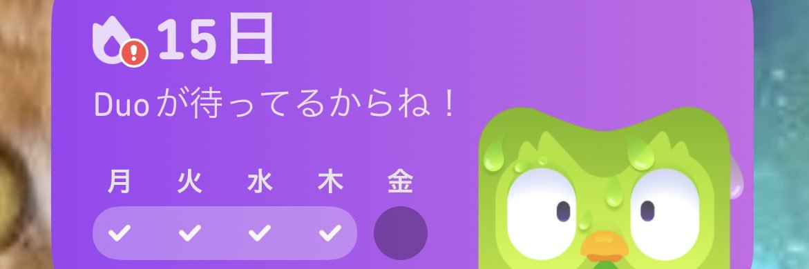 p型 banner