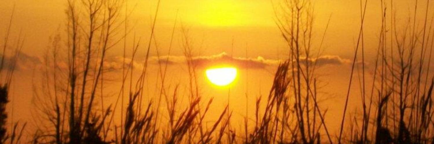 IsabelOlmos's profile banner image