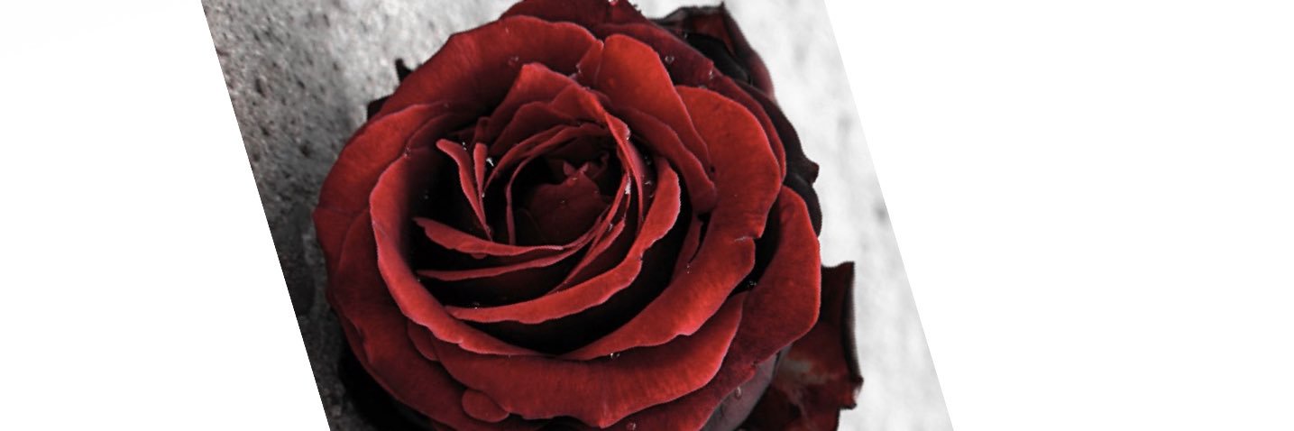 Princesdfg's profile banner image