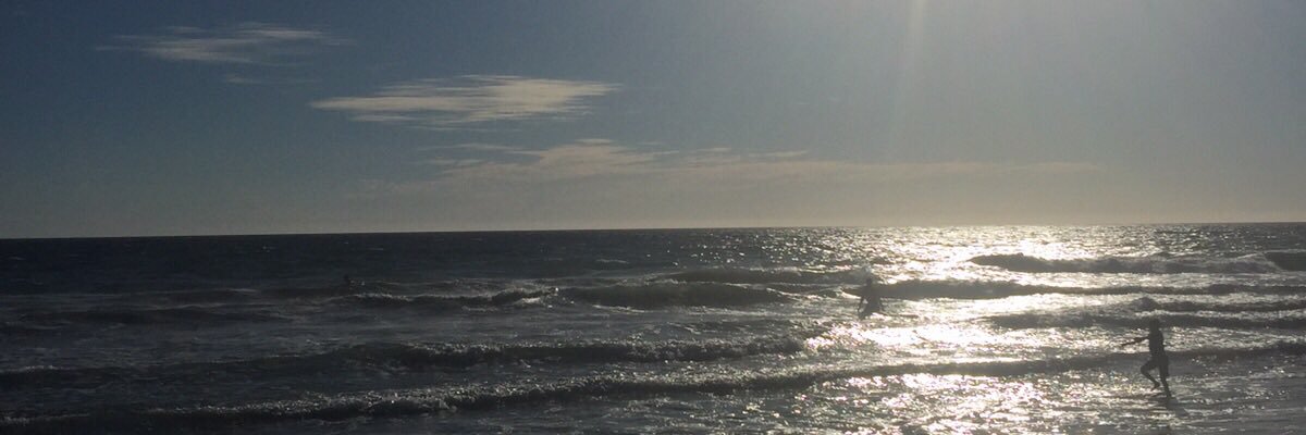 luis_cella's profile banner image