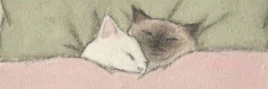 fffernands's profile banner image