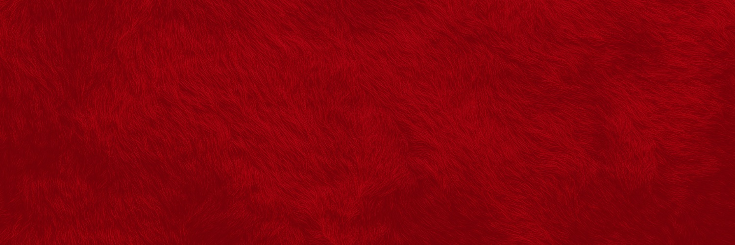 Hoosier the Bison's banner