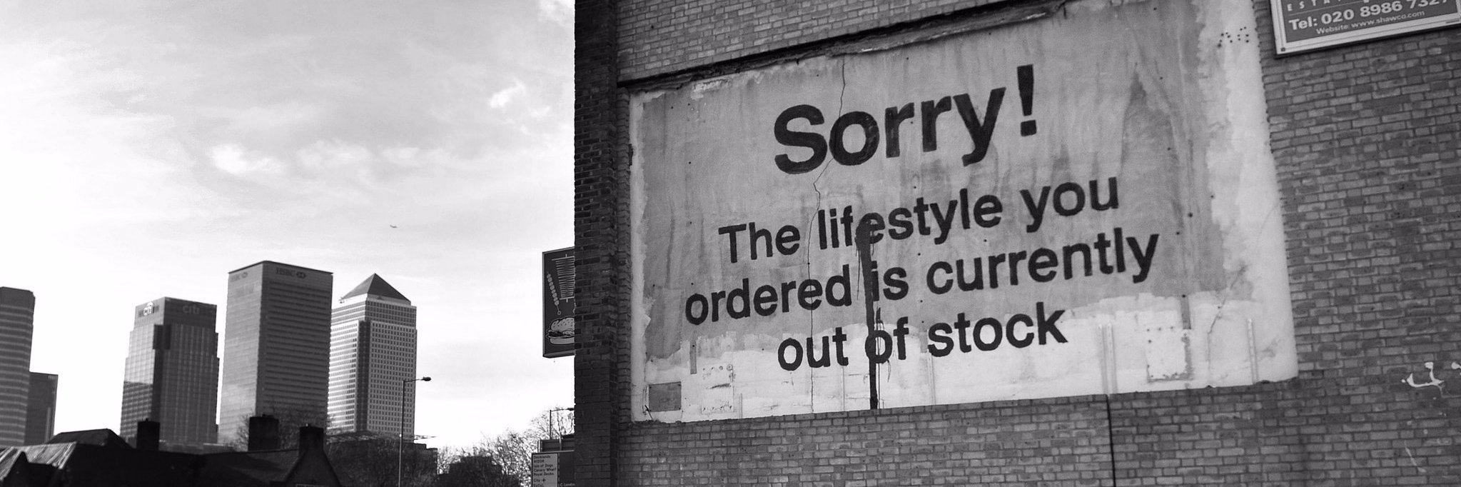 David F. Ruccio banner