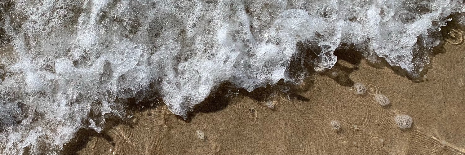 psynoopea's profile banner image