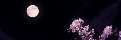 eunbamtol_'s profile banner image