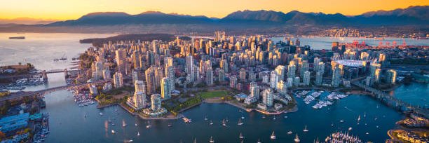 On-Device Learning for Foundation Models @ICML 25 banner