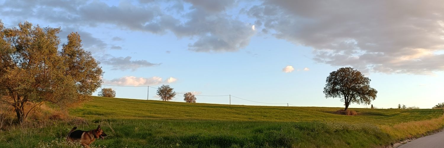 Sílvia Claveria banner