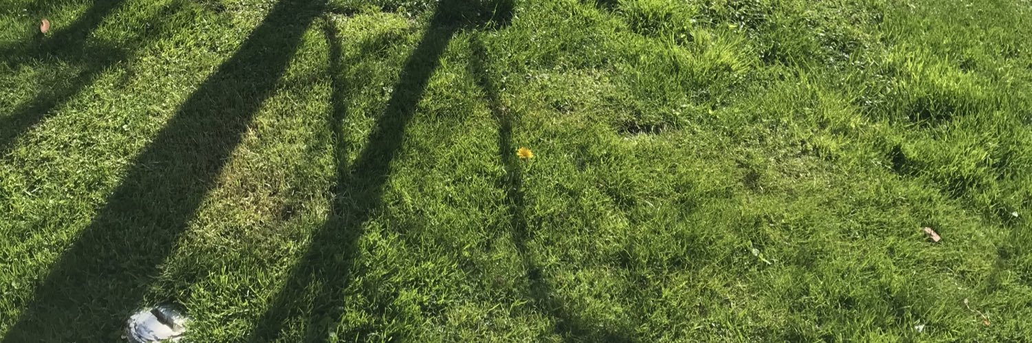 Heather Robinson banner