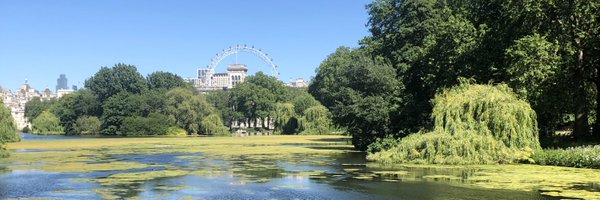 CPascalau Profile Banner