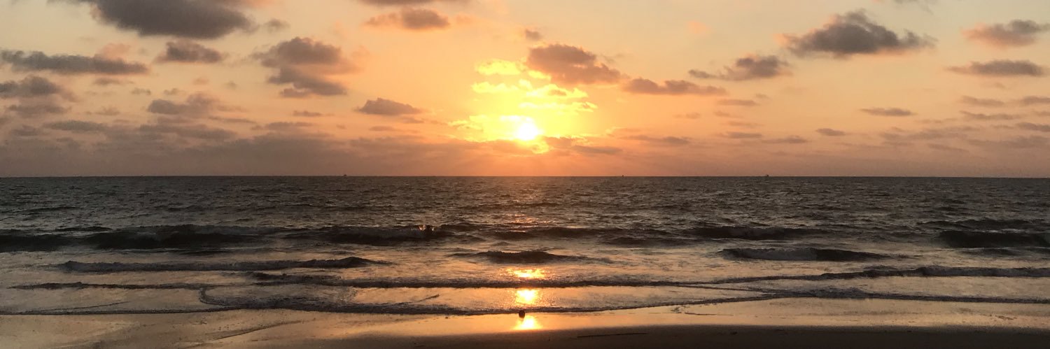 poletheocal's profile banner image