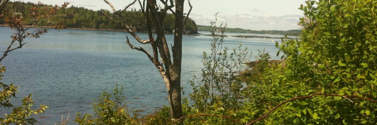 Constance Rinaldo banner