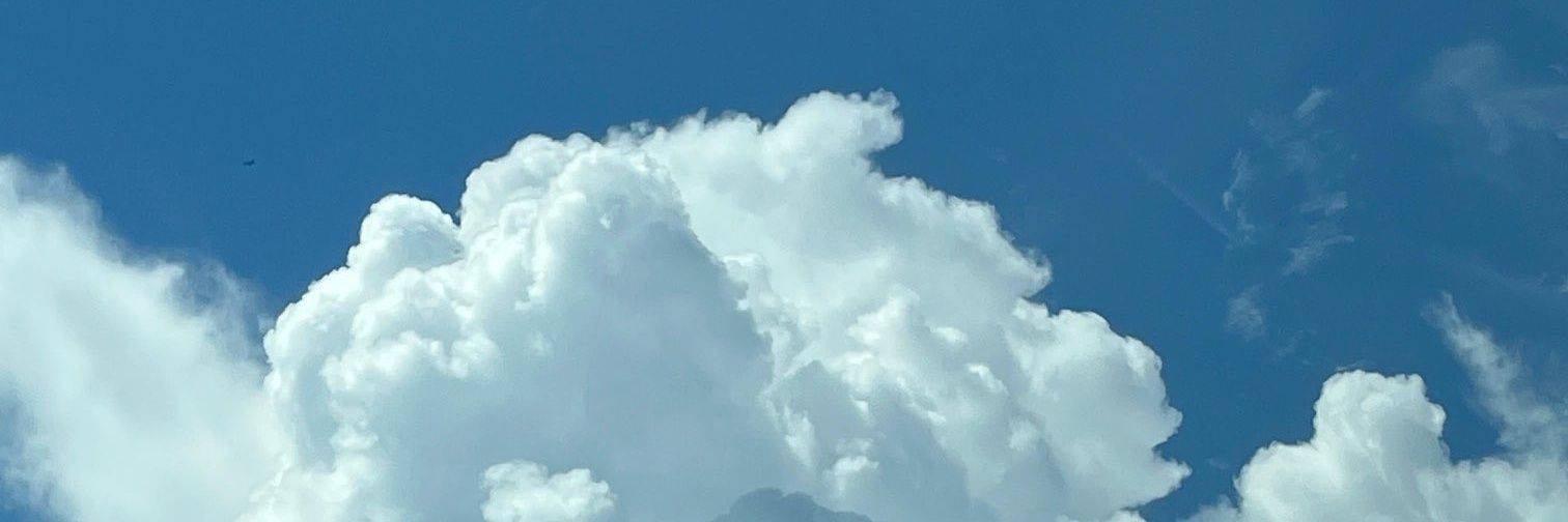 Camiloflorez31's profile banner image