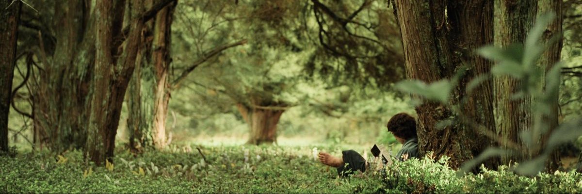 loislaene's profile banner image