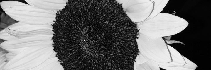 indyah__charay's profile banner image