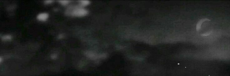 naoizes's profile banner image