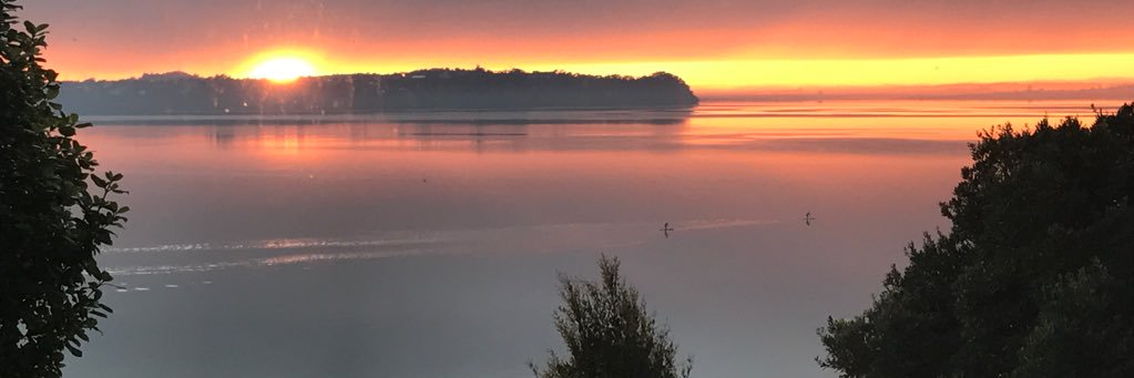 MichellePickles's profile banner image