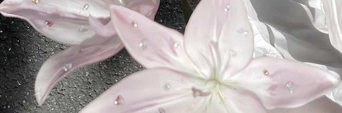 ษอง banner
