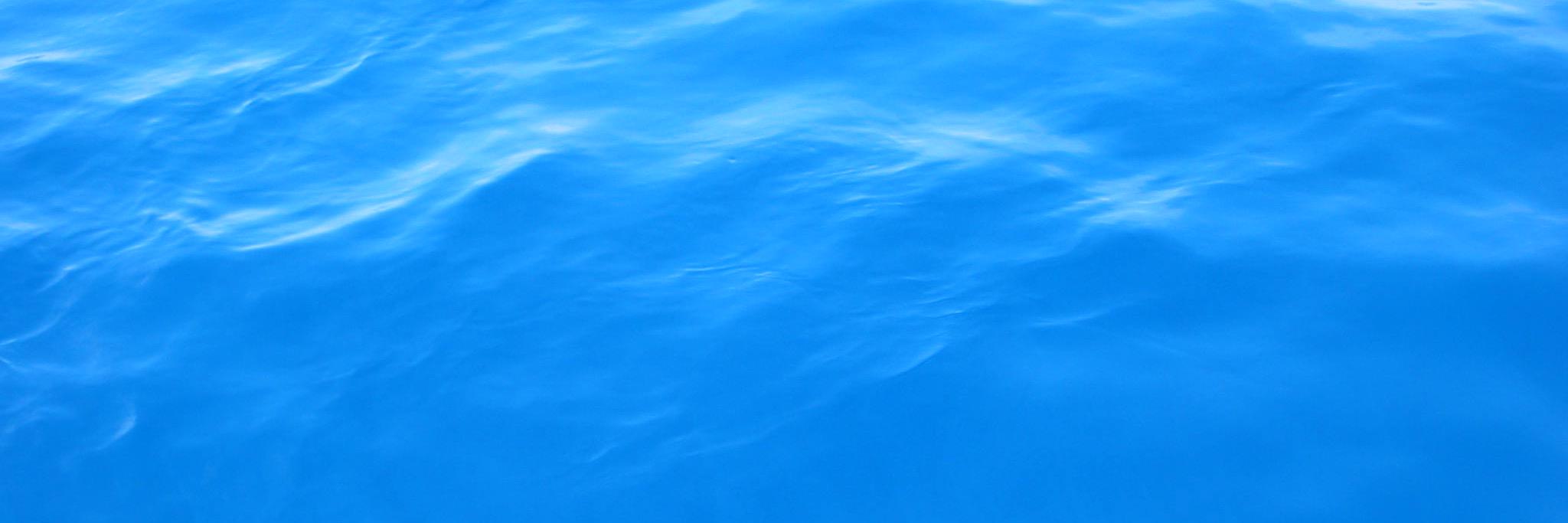 Alyson Santoro banner