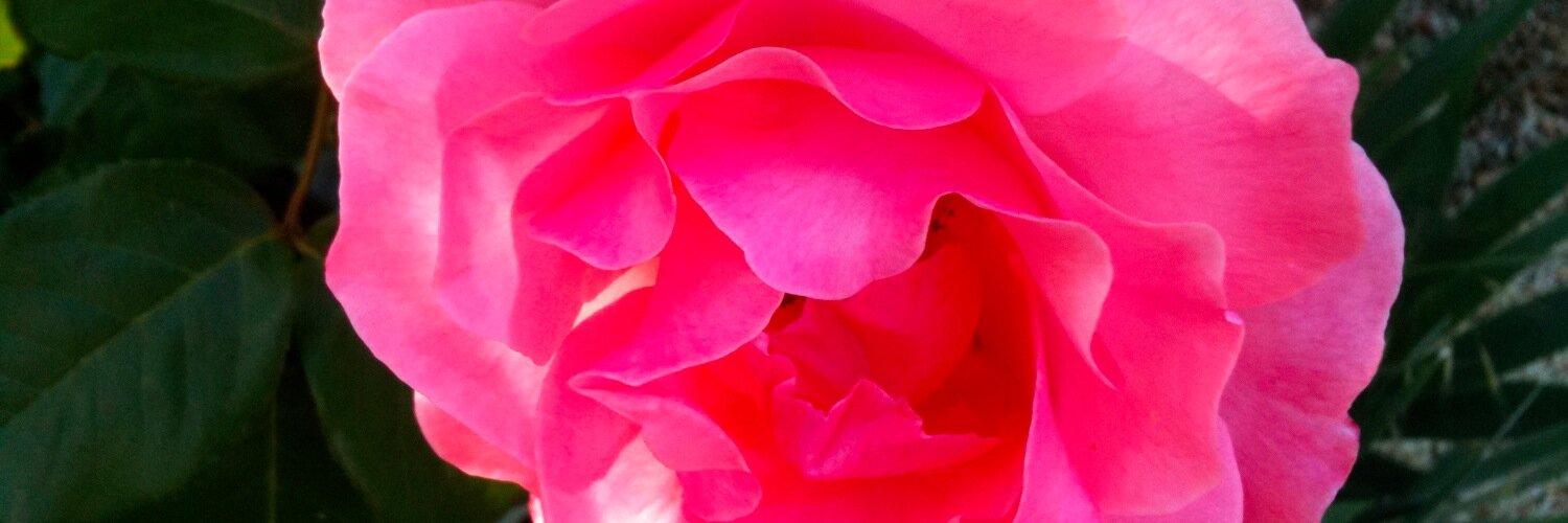 itarjan's profile banner image