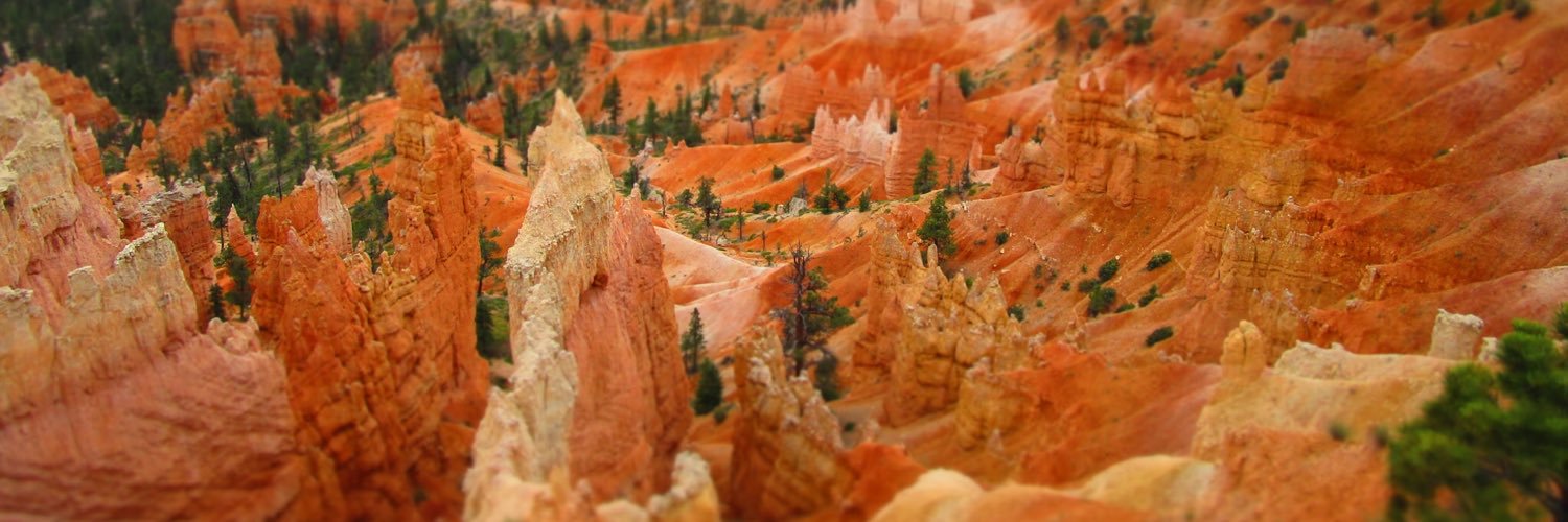 Vicky Riddell banner