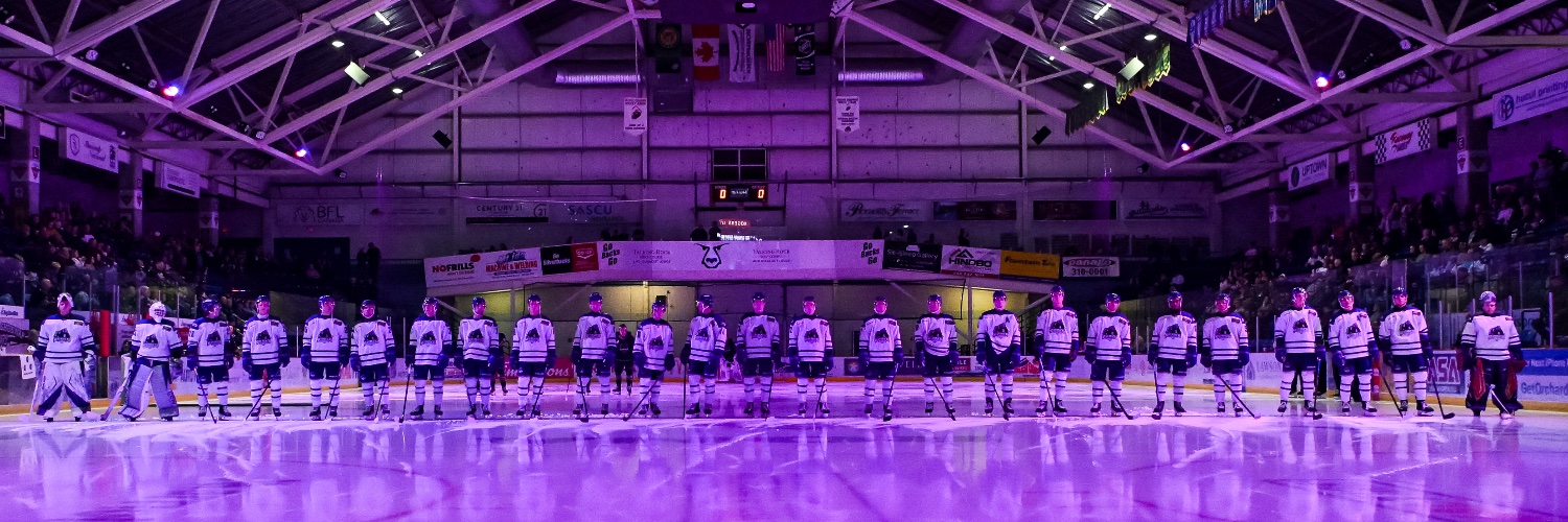 SASilverbacks's profile banner image