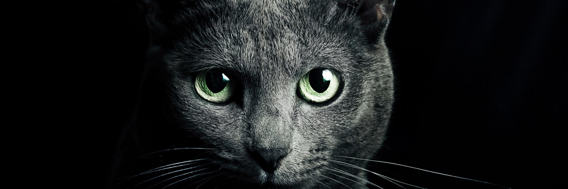 dzikriAS's profile banner image